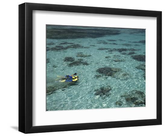 Premium Photographic Print, , large