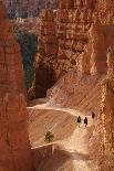 Utah, Bryce Canyon National Park, Hikers on Navajo Loop Trail Through Hoodoos-David Wall-Photographic Print