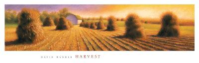 Harvest-David Wander-Art Print