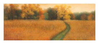 Tuscan Road II-David Wander-Mounted Art Print