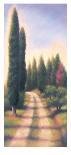 Tuscan Road II-David Wander-Art Print