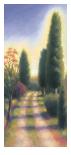 Path to the Woods-David Wander-Framed Art Print