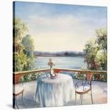 Summer Patio-David Weiss-Stretched Canvas