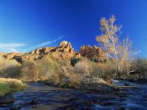 Sandstone Formations Near Paria Canyon, Utah, USA-David Welling-Photographic Print