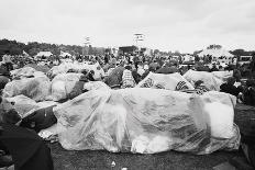 Reading Festival 1971-David White-Framed Stretched Canvas