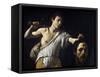 David with the Head of Goliath by Caravaggio-null-Framed Stretched Canvas
