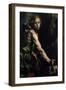 David with the Head of Goliath-Tanzio da Varallo-Framed Giclee Print