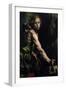 David with the Head of Goliath-Tanzio da Varallo-Framed Giclee Print