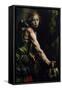 David with the Head of Goliath-Tanzio da Varallo-Framed Stretched Canvas