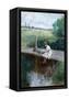Canvas Black