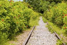 The Abandoned Railroad-david734244-Framed Photographic Print