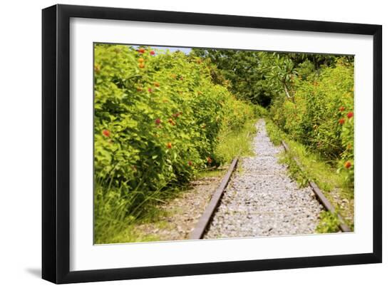 Premium Photographic Print, , large