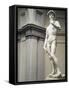 David-Michelangelo Buonarroti-Framed Stretched Canvas