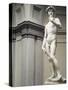 David-Michelangelo Buonarroti-Stretched Canvas