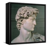 David-Michelangelo Buonarroti-Framed Stretched Canvas