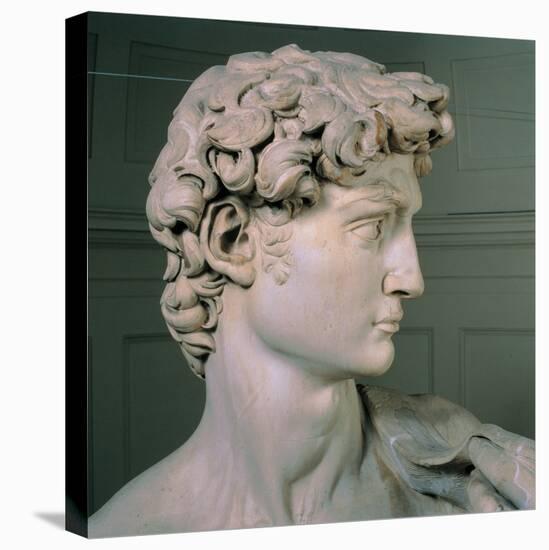 David-Michelangelo Buonarroti-Stretched Canvas