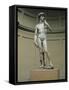 David-Michelangelo Buonarroti-Framed Stretched Canvas