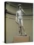 David-Michelangelo Buonarroti-Stretched Canvas