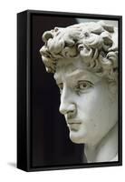 David-Michelangelo Buonarroti-Framed Stretched Canvas