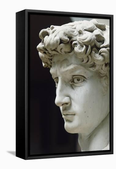 David-Michelangelo Buonarroti-Framed Stretched Canvas