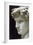 David-Michelangelo Buonarroti-Framed Giclee Print