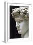 David-Michelangelo Buonarroti-Framed Giclee Print