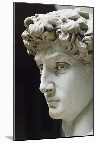 David-Michelangelo Buonarroti-Mounted Giclee Print