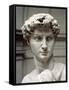 David-Michelangelo Buonarroti-Framed Stretched Canvas