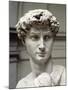 David-Michelangelo Buonarroti-Mounted Giclee Print