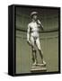 David-Michelangelo Buonarroti-Framed Stretched Canvas