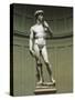 David-Michelangelo Buonarroti-Stretched Canvas