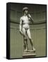 David-Michelangelo Buonarroti-Framed Stretched Canvas