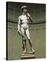 David-Michelangelo Buonarroti-Stretched Canvas