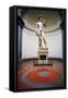 David-Michelangelo Buonarroti-Framed Stretched Canvas