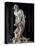 David-Bernini Gian Lorenzo-Stretched Canvas