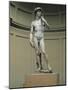 David-Michelangelo Buonarroti-Mounted Photographic Print