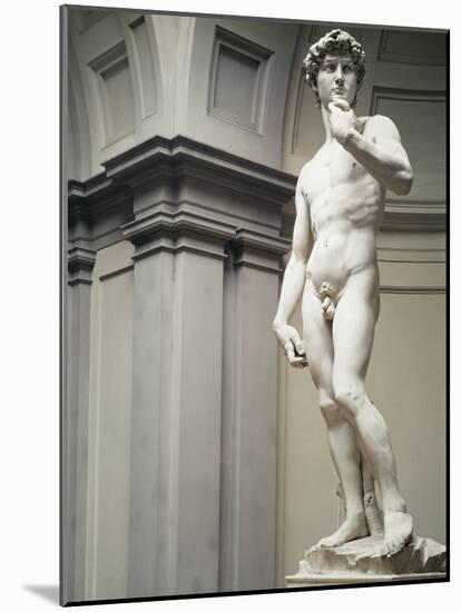 David-Michelangelo Buonarroti-Mounted Photographic Print