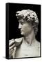 David-Michelangelo-Framed Stretched Canvas