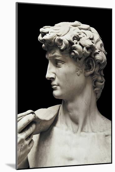 David-Michelangelo-Mounted Art Print