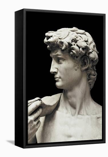 David-Michelangelo-Framed Stretched Canvas