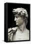 David-Michelangelo-Framed Stretched Canvas