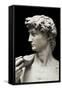 David-Michelangelo-Framed Stretched Canvas