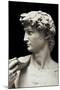 David-Michelangelo-Mounted Premium Giclee Print