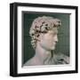 David-Michelangelo-Framed Art Print