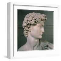 David-Michelangelo-Framed Art Print