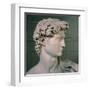 David-Michelangelo-Framed Art Print