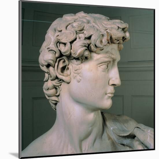 David-Michelangelo-Mounted Art Print