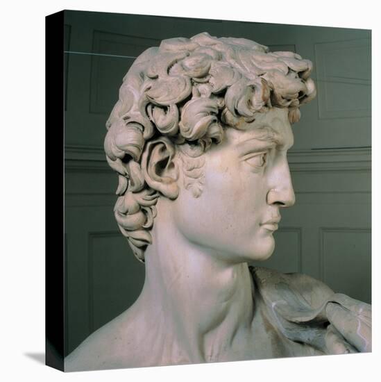 David-Michelangelo-Stretched Canvas