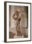 David-Donatello-Framed Art Print