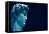 David-Michelangelo-Framed Stretched Canvas